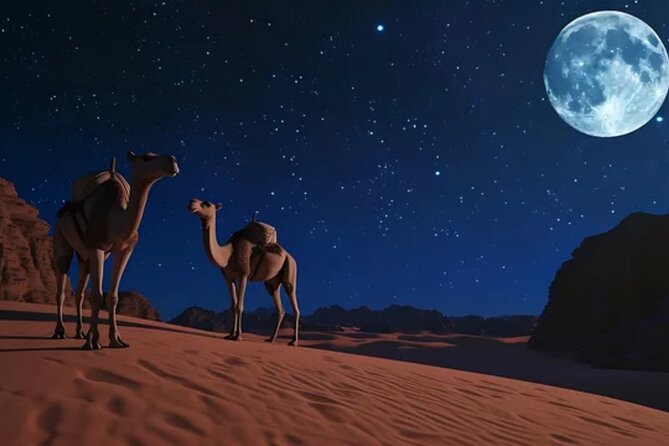 Doha Night Desert Safari, Stargazing, Photography، Relaxation - Stargazing away from Doha’s lights