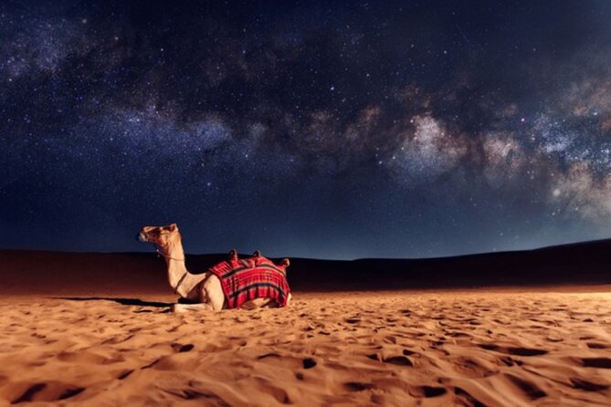 Doha Night Desert Safari, Stargazing, Photography، Relaxation - Is $77.50 good value?