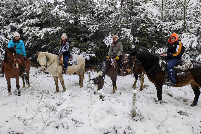 Exclusive Sofia: Nevsky, Vitosha Hoof, Boyana, Horse Ride & Spa - Lunch at Limoncheto
