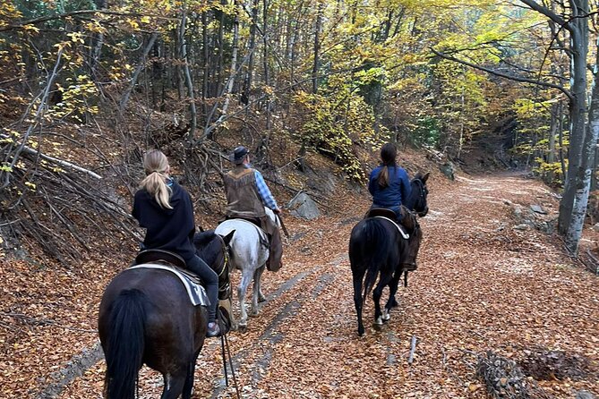 Exclusive Sofia: Nevsky, Vitosha Hoof, Boyana, Horse Ride & Spa - Is $281.77 a fair price?