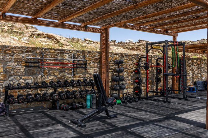 Exclusive Wellness Day Experience in Mykonos - Starting with training, yoga, or fitness