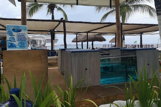 Fish Spa, Beach Break with Lounge Chairs, Umbrellas & Beach Area - The fish spa: a short, strange, relaxing start