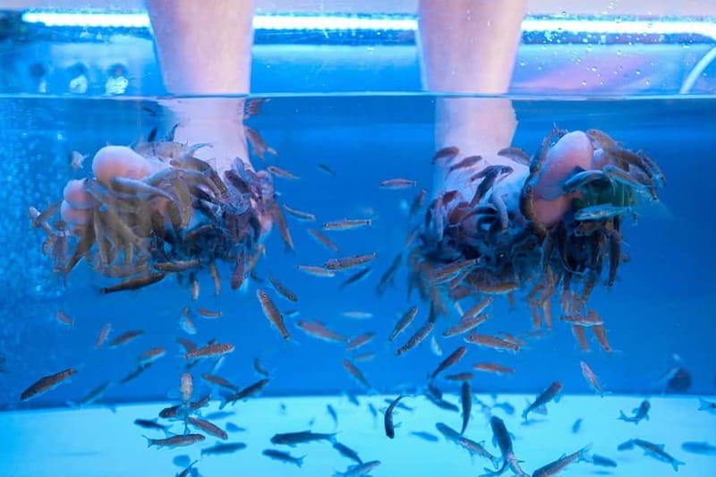 Fish Spa Experience Playa Fañabe - Finding Happy Feet Spa in Playa Fañabé