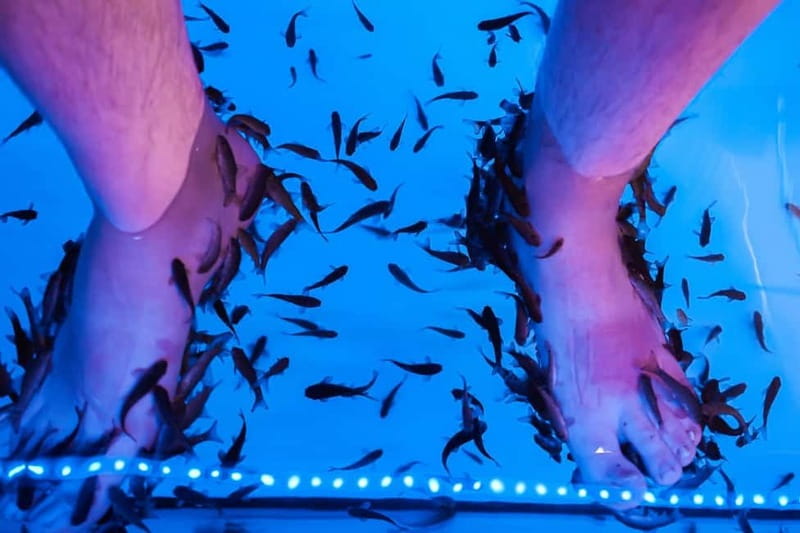 Fish Spa Experience Playa Fañabe - What the strongest praise focuses on
