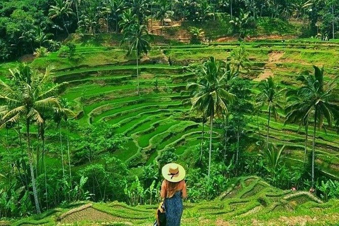 Floating Breakfast at Private jungle pool , Swing , Sunrise and Balinesse Spa - A 6:00 am start at Tegallalang Rice Terraces