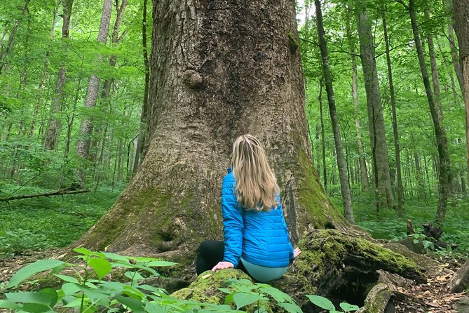 Forest Bathing & Nature Therapy Walk - What makes this Asheville experience different