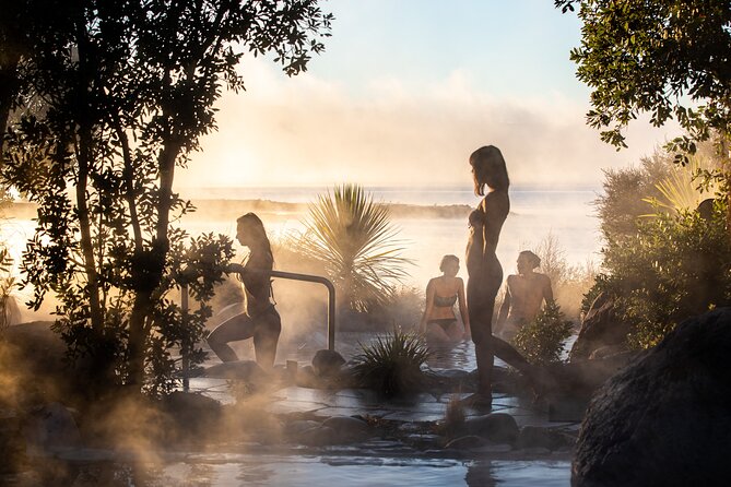From Auckand: Waiotapu and Polynesian Spa Rotorua Day Tour - Key points at a glance
