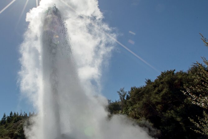 From Auckand: Waiotapu and Polynesian Spa Rotorua Day Tour - What the $235.82 price really covers