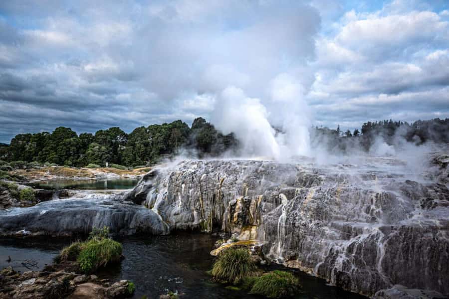 From Auckland: Rotorua Te Puia, Haka & Polynesian Spa Tour - Why this Auckland to Rotorua day trip works