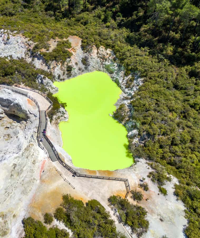 From Auckland: Wai-O-Tapu & Polynesian Spa Rotorua Day Tour - Two quiet hours at Polynesian Spa