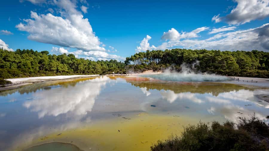 From Auckland: Wai-O-Tapu & Polynesian Spa Rotorua Day Tour - Wai-O-Tapu’s sulfur, steam, and volcanic color