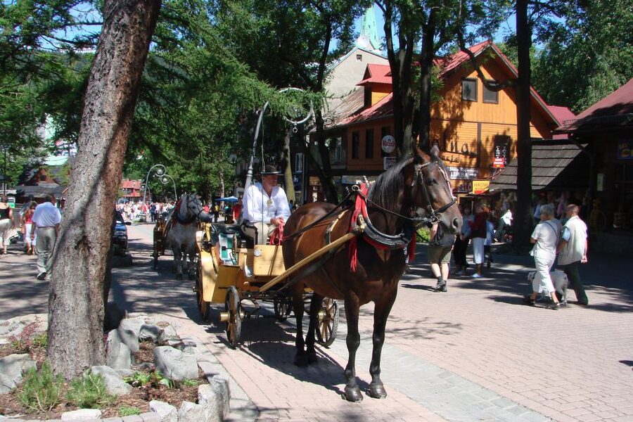 From Krakow: Slovakia Treetop Walk, Zakopane & Thermal Spa - Key points before you book