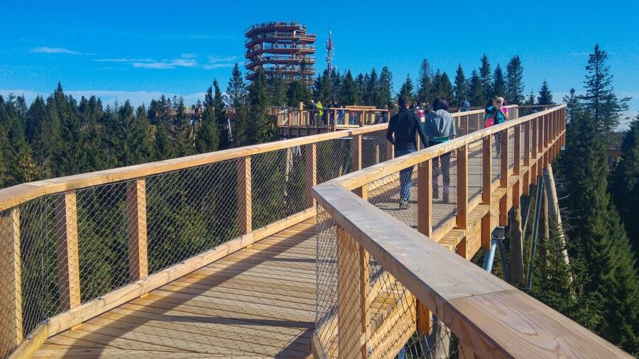 From Krakow: Slovakia Treetop Walk, Zakopane & Thermal Spa - The driver-guide can shape the whole day