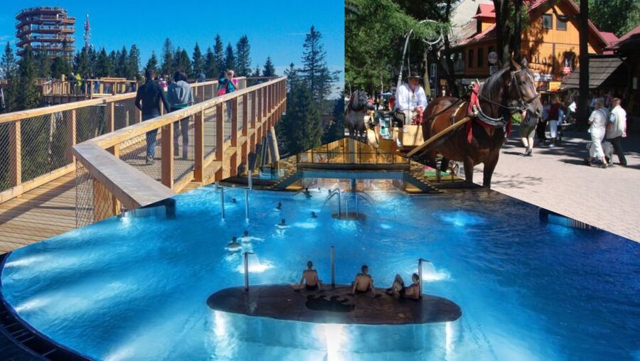 From Krakow: Slovakia Treetop Walk, Zakopane & Thermal Spa - Bachledka Treetop Walk: the day’s visual highlight
