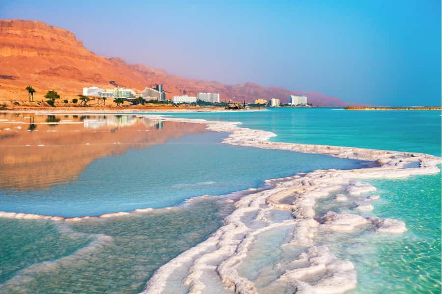 From Tel Aviv: Full-Day Dead Sea Relaxation Tour - Ein Gedi, where water meets the desert