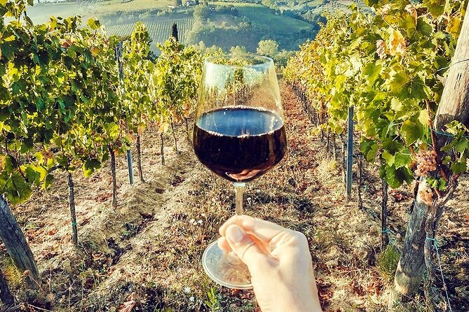 Full day experience | Umbria wine tasting and SPA relax - Why this Rome day trip works