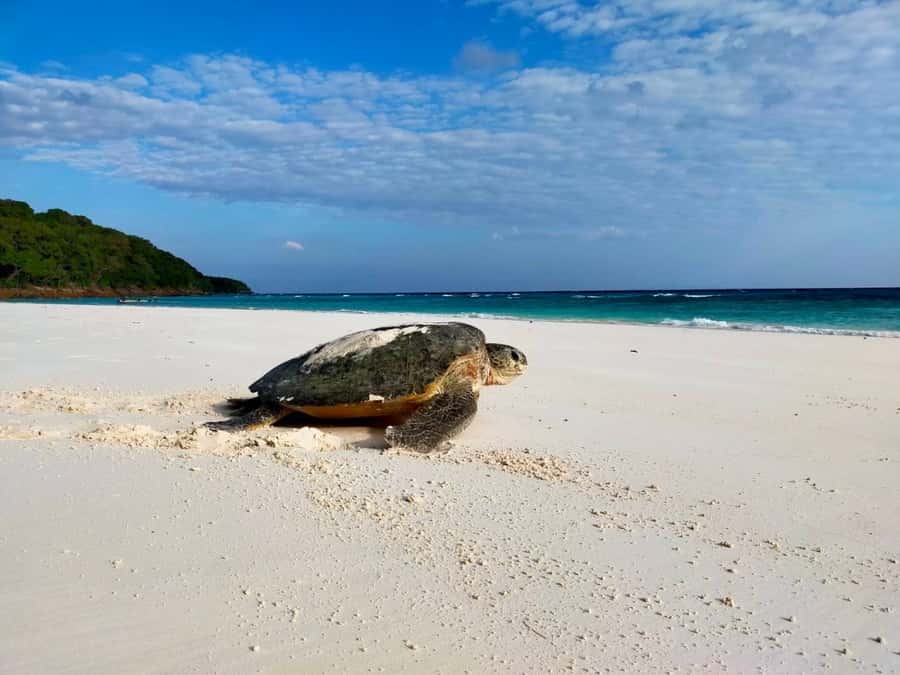 Full-Day Khaolak Highlights & Spa - Starting early from Khao Lak