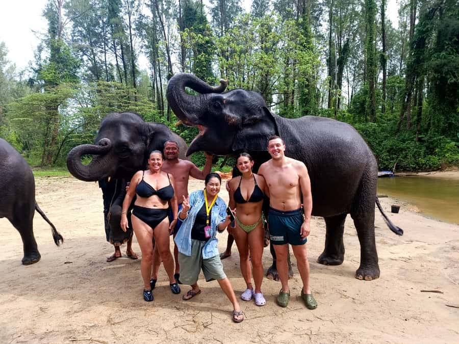 Full-Day Khaolak Highlights & Spa - Sea turtles at the Royal Thai Navy nursery