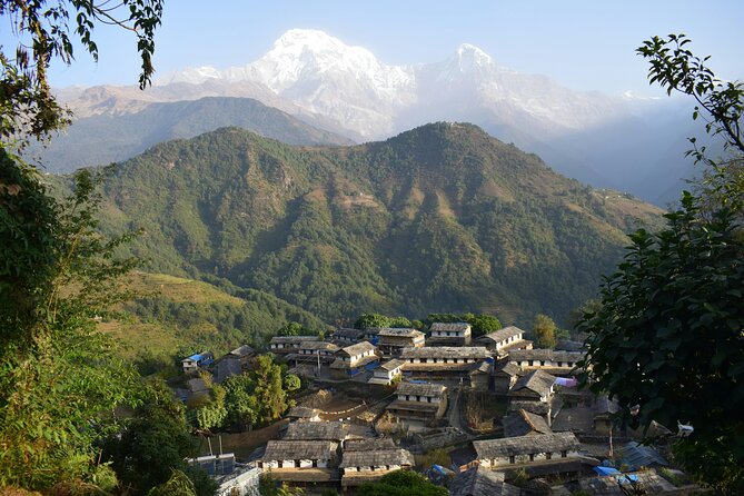 Ghorepani Ghandruk Wellness Yoga Trek - Kathmandu begins with temples, stupas, and trip preparation