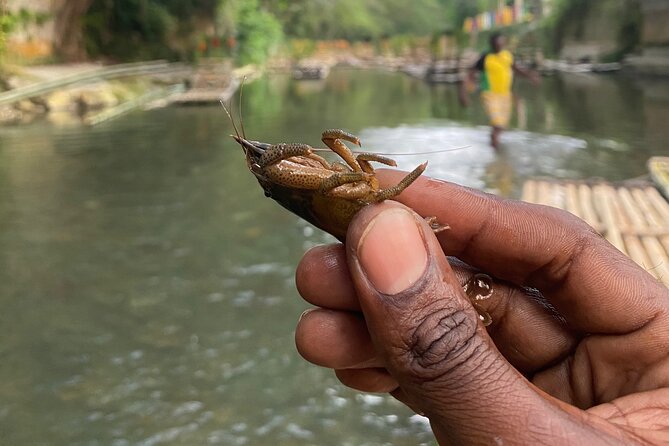 Great River Rafting - Limestone Foot Massage and ATV Rides From Montego Bay - Trading Bamboo for an ATV