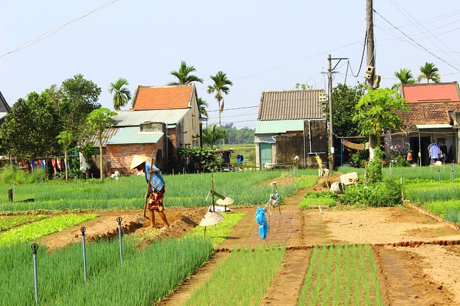Half Day Ride Bike To The Farm and Cooking Activity with Foot Massage - Is $60.26 Good Value?