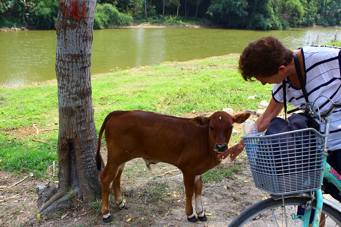Half Day Ride Bike To The Farm and Cooking Activity with Foot Massage - Should You Book This Bike and Farm Tour?