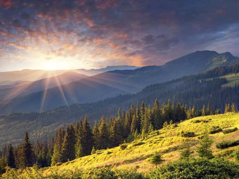 Half Day Tour - Sofia and the mountains with Thermal Spa - Vitosha Nature Park and Kopitoto’s High View
