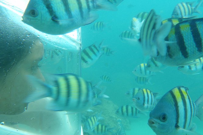 Half-Day Trip to Koh Hey: Snorkeling & Relaxation - Two hours on Koh Hey: swimming, snorkeling, and rest