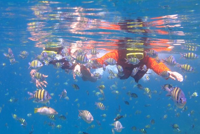 Half-Day Trip to Koh Hey: Snorkeling & Relaxation - Why the small group size helps