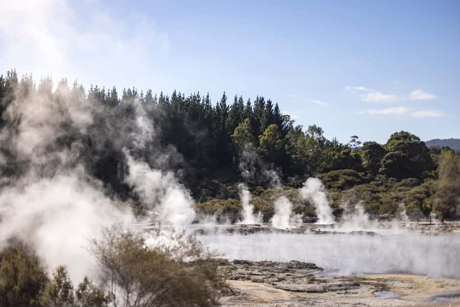 HELL'S GATE Mud Spa, Rotorua - Group Day Tour Ex Auckland - Why Hell’s Gate makes a good Rotorua day trip