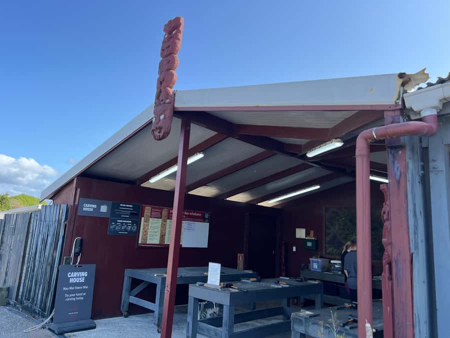 HELL'S GATE Mud Spa, Rotorua - Group Day Tour Ex Auckland - Is $298 a fair price?