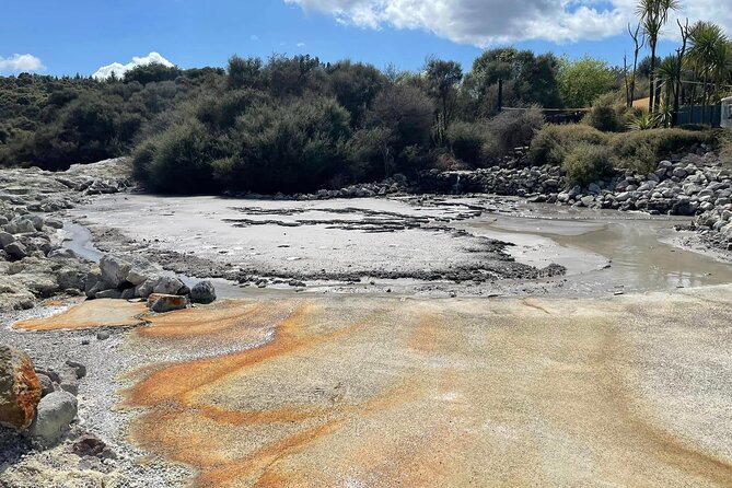 Hells Gate Geothermal, Mud & Sulphur Spa - The long road from Tauranga to Rotorua