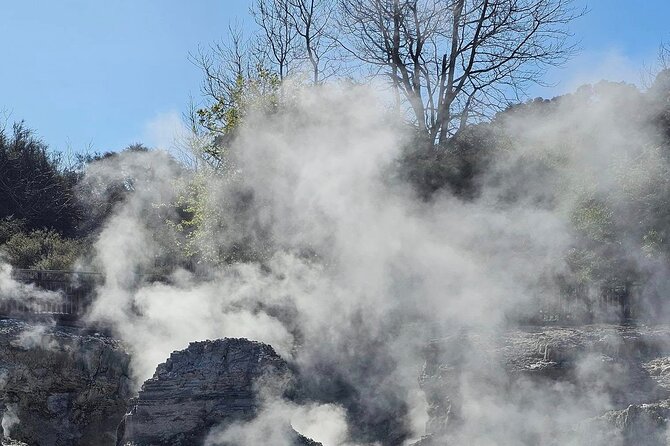 Hells Gate Geothermal, Mud & Sulphur Spa - Why the geothermal stop needs priority