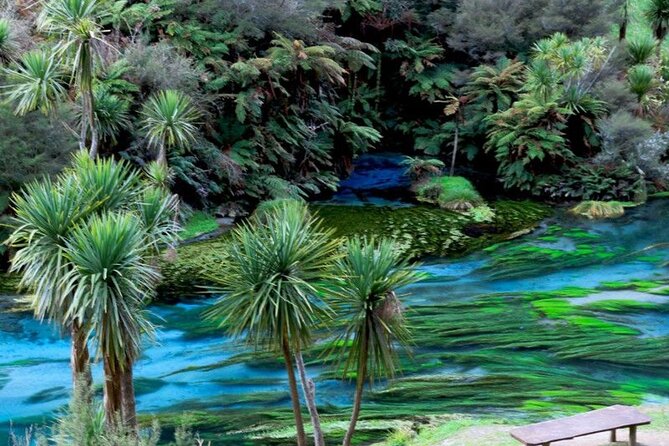 Hobbiton Movie Set Tour to Blue Springs and Mineral Spa - Blue Springs and the sound of clear water