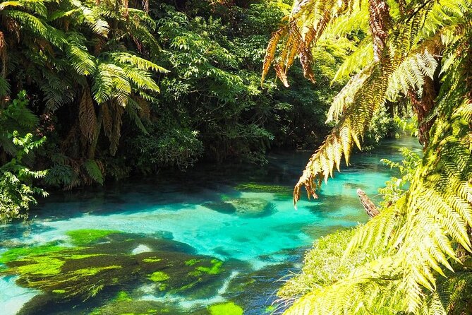 Hobbiton Movie Set Tour to Blue Springs and Mineral Spa - Te Aroha Mineral Spa and the private bath
