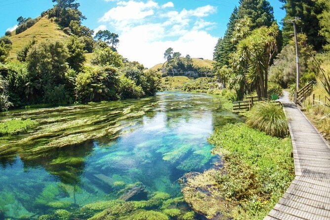 Hobbiton Movie Set Tour to Blue Springs and Mineral Spa - Who will enjoy this best