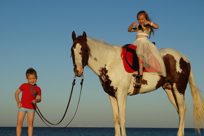 Horse Riding 2 Hours & Relaxation Turkish Bath & Sauna - Hurghada - What the horses and escort mean for your day