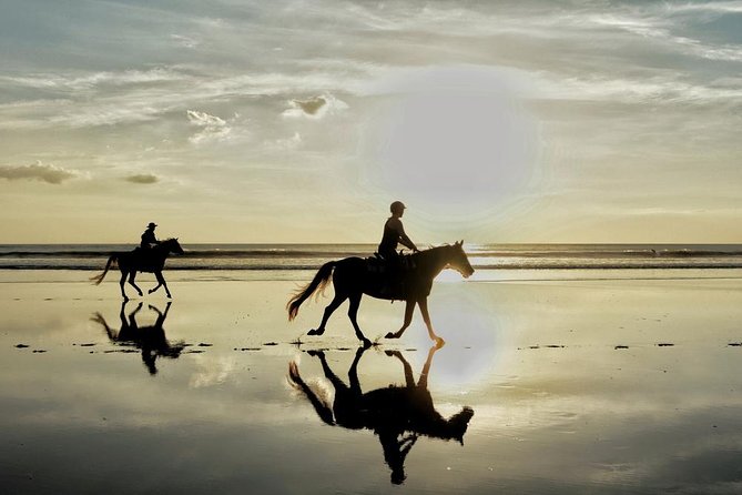 Horse Riding By The Beach With Hammam And Massage - From Agadir hotel to Atlantic riding trail
