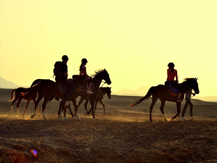 Hurghada: 4 Days Tour Horse, Camel, Spa, ATV, Jeep & Dolphin - Day 2: ATV riding across sea and desert terrain