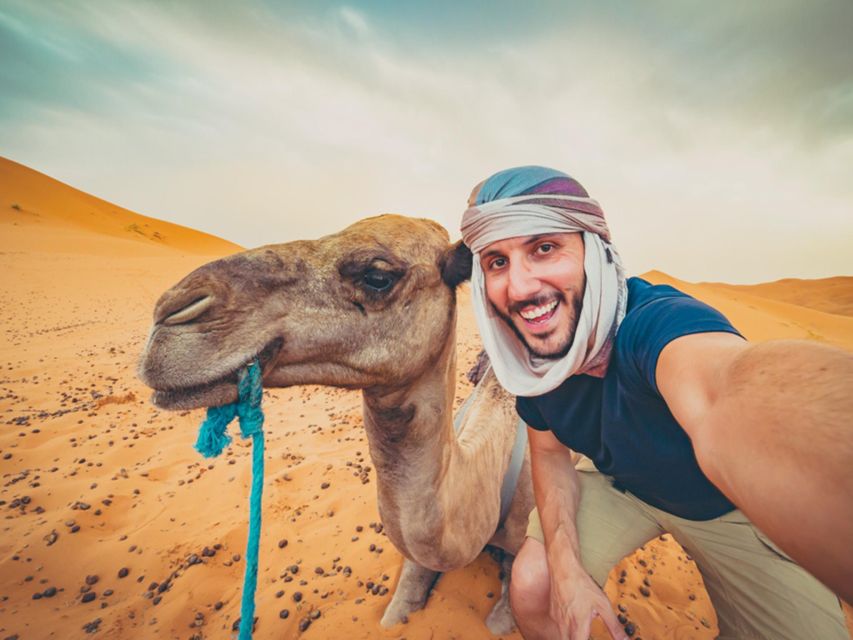 Hurghada: 4 Days Tour Horse, Camel, Spa, ATV, Jeep & Dolphin - Who will enjoy this tour most?