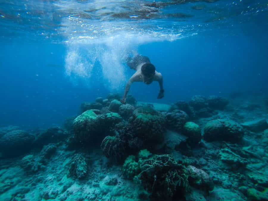 Hurghada:Luxury Diving & Snorkeling inc/Island/Lunch/Massage - Quick points before you book