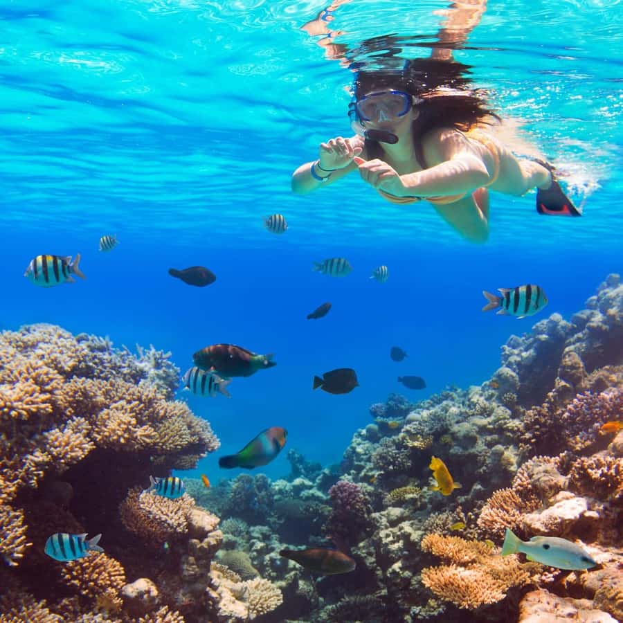 Hurghada:Luxury Diving & Snorkeling inc/Island/Lunch/Massage - Orange Bay: beautiful, photogenic, and busy