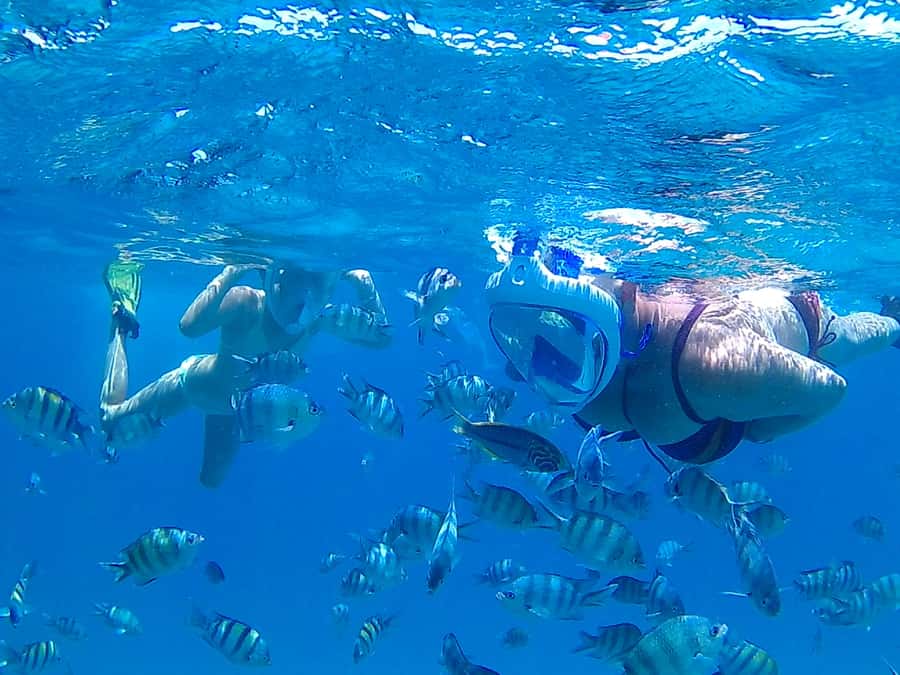 Hurghada: Luxury Giftun island w/snorkeling/lunch & Massage - Why this Red Sea day works so well