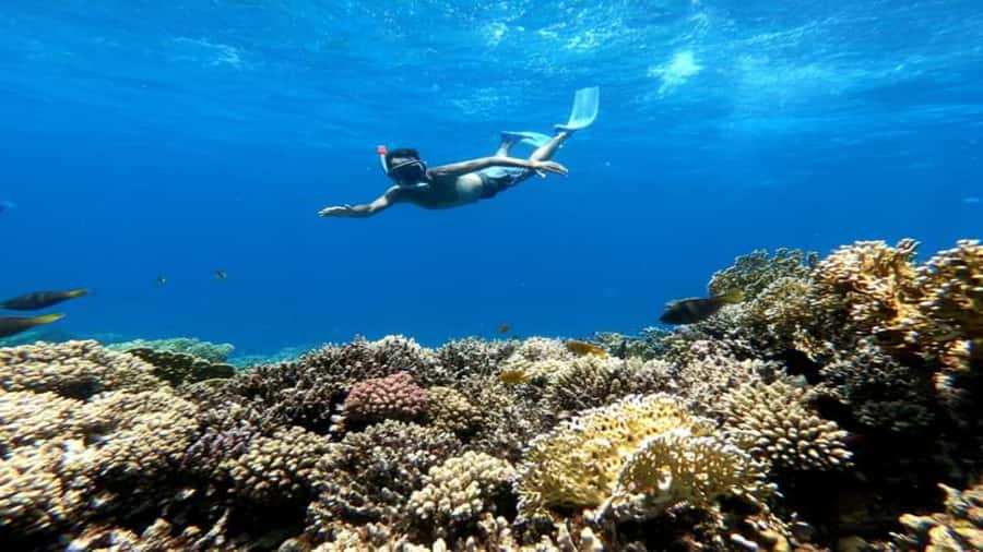 Hurghada: Orange & Giftun Island Cruise with Massage & Lunch - Jazīrat Abū Rimāthī offers a second look underwater