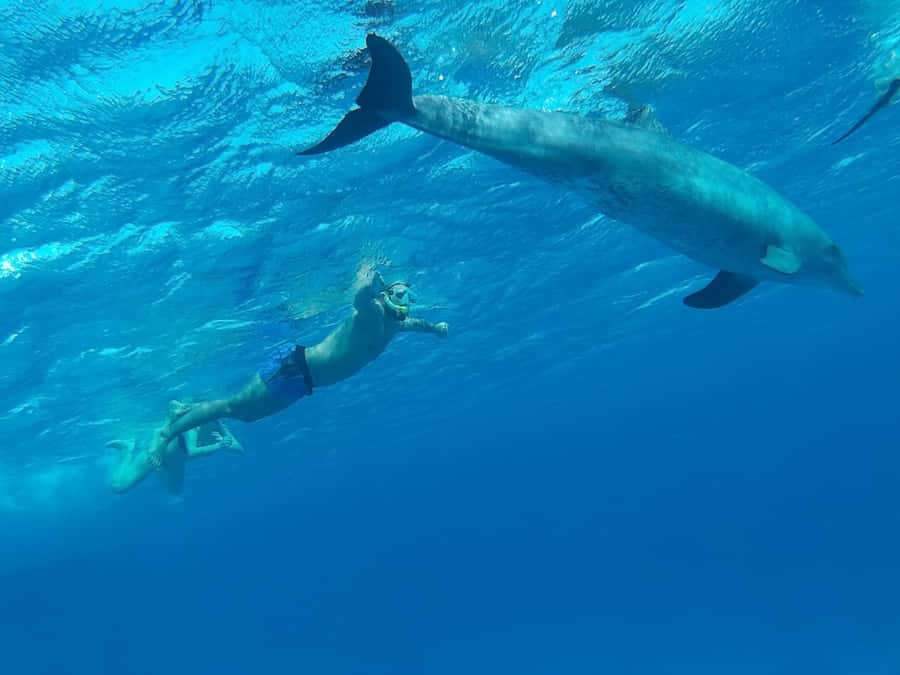 Hurghada: Royal Orange Bay with Massage, Snorkeling & Lunch - The boat, crew, and pace of the day