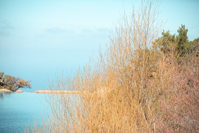 Ikaria Longevity, Family Winery & Wellness - Mesakti Beach gives the morning room to breathe