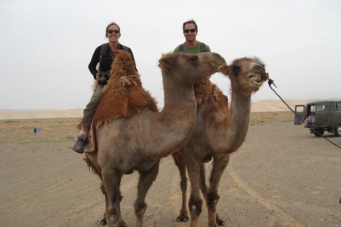 Jet Ski Quad Bike Camel Rdie And Hammam Massage Package - A camel ride through the eucalyptus forest