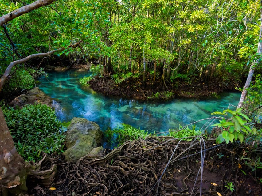 Krabi: Kayaking, Crystal Lagoon, and Fish Spa in Klong Root - The pineapple farm visit
