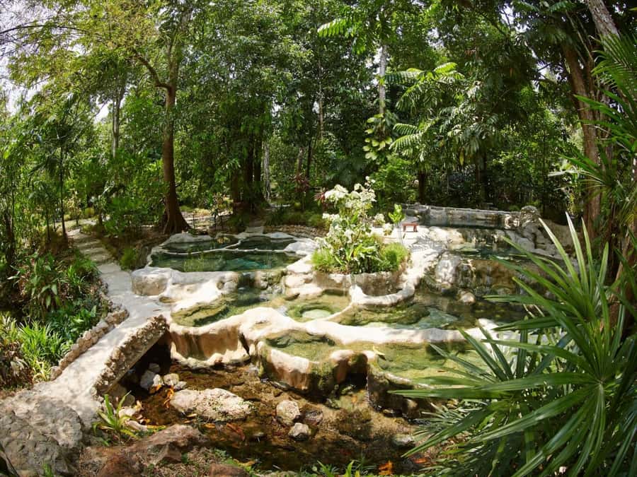 Krabi: Spa and Therapy Half, 1-Hour, or Full-Day Packages - Key points to know before booking