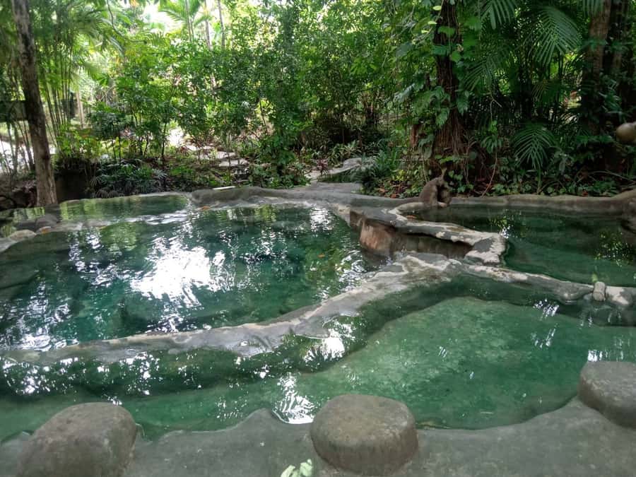 Krabi: Spa and Therapy Half, 1-Hour, or Full-Day Packages - Who should book this experience